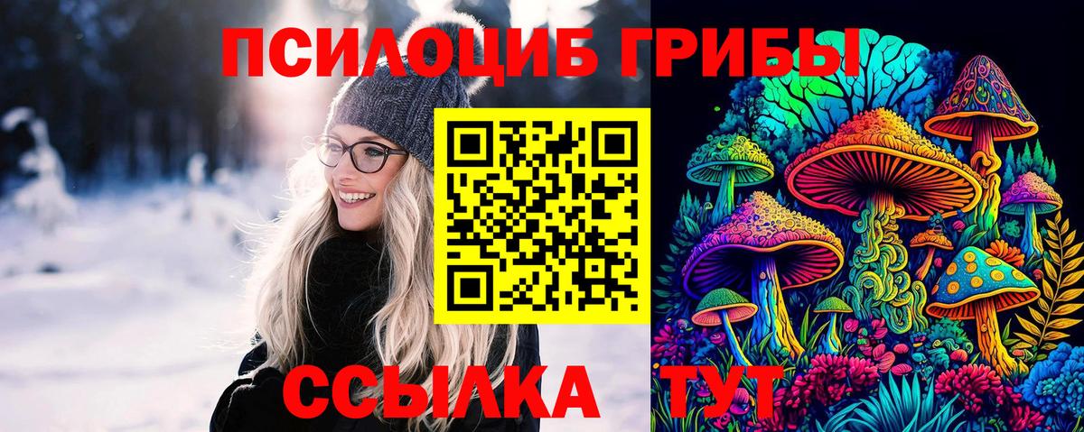 Галлюциногенные грибы Psilocybine cubensis Ликино-Дулёво