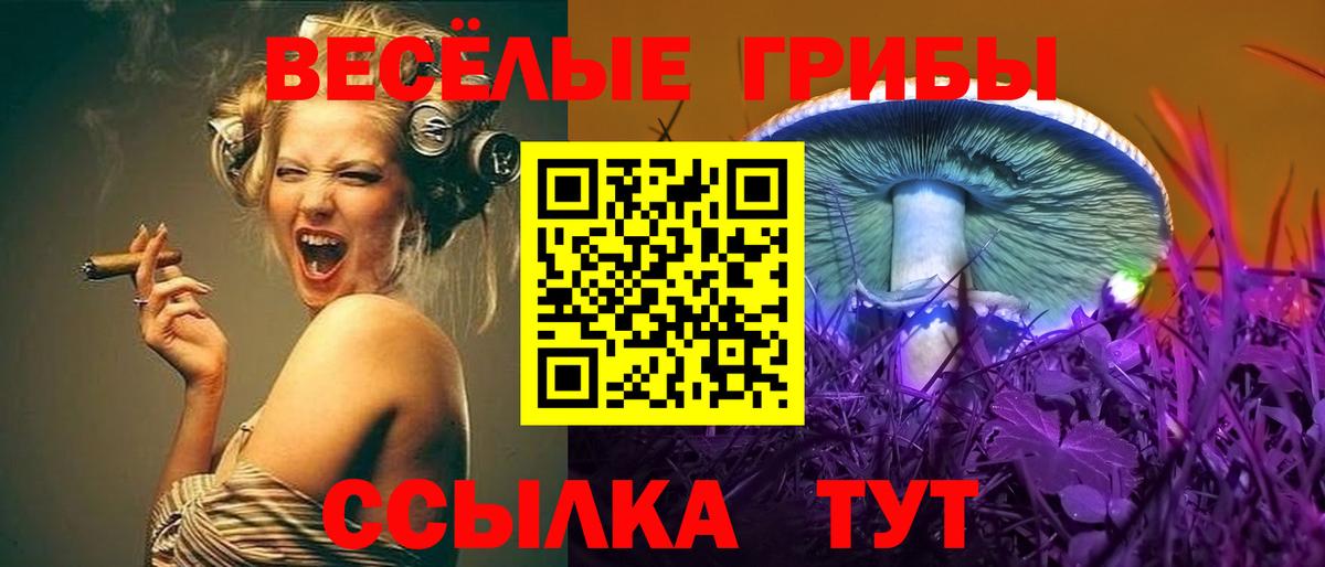 Ликино-Дулёво  Псилоцибиновые грибы Psilocybe  Вход с VPN 